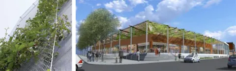 Modelowanie zielonych ścian